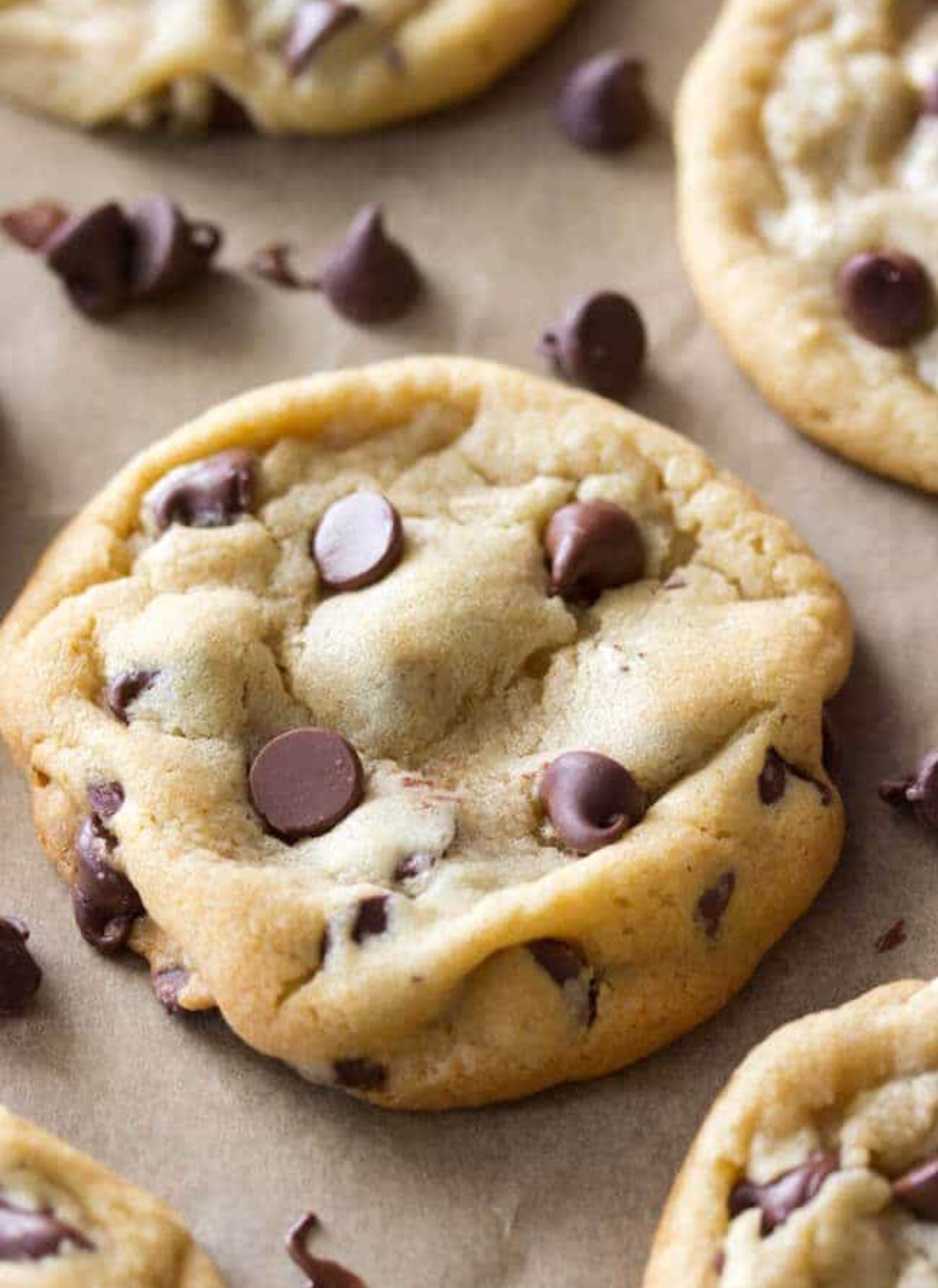 The Best Chocolate Chip Cookie Recipe Ever! - The Suburban Socialite